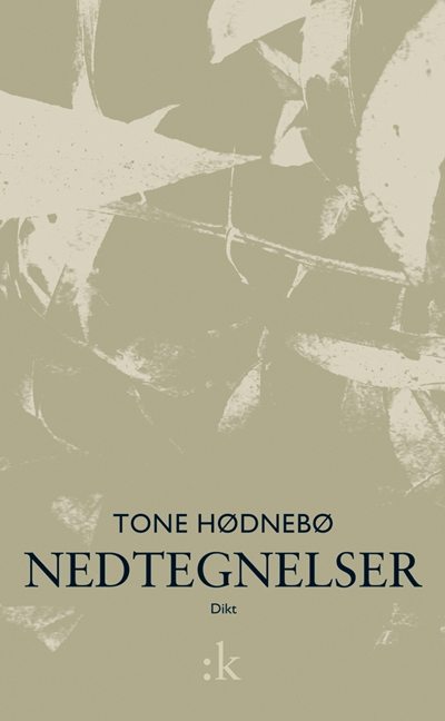 Omslaget til Nedtegnelser